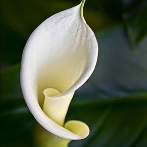 Meet your Posher, Jenn